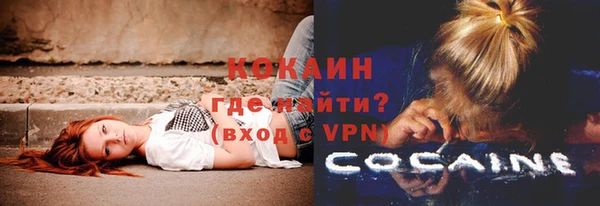 гашик Новокубанск