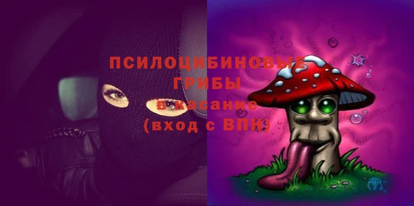 шишки Вязники