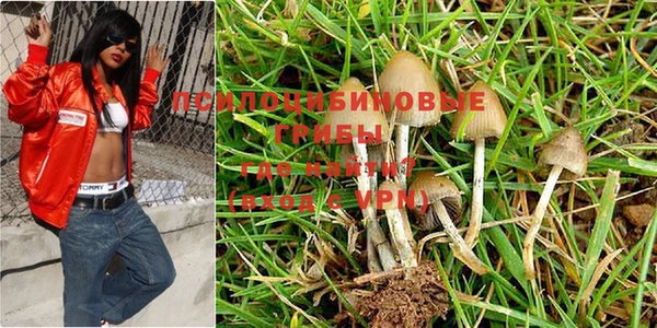 эйфоретик Нея