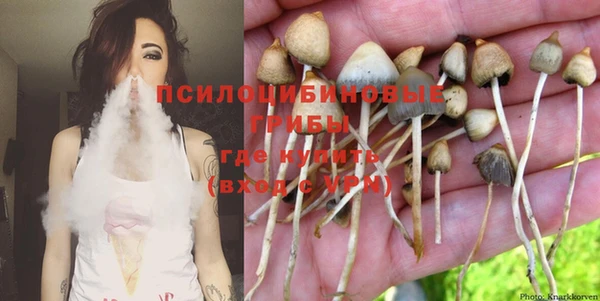 эйфоретик Нея