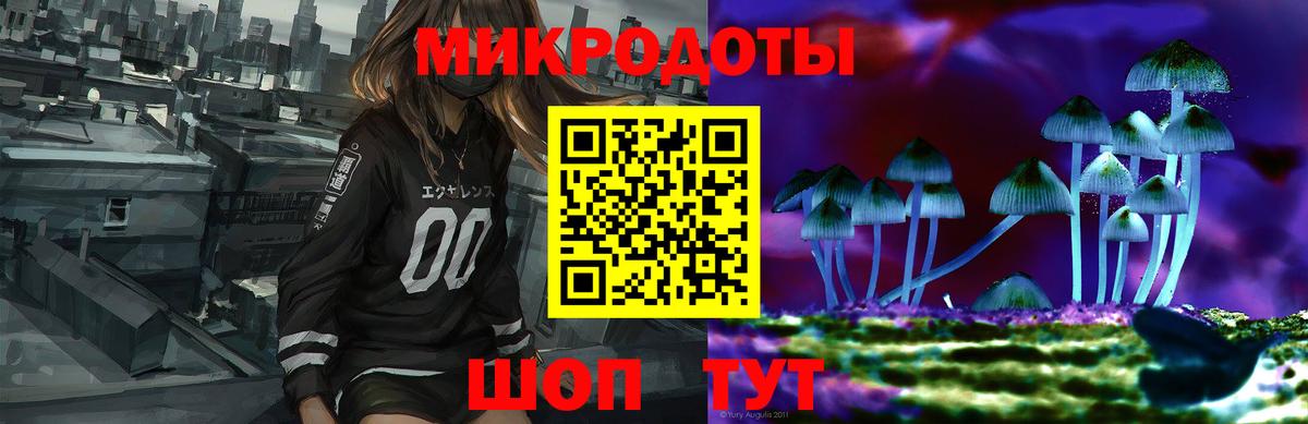 Знаменск  Псилоцибиновые грибы Psilocybe  как найти наркотики  Псилоцибиновые грибы MAGIC MUSHROOMS  Вход с VPN 
